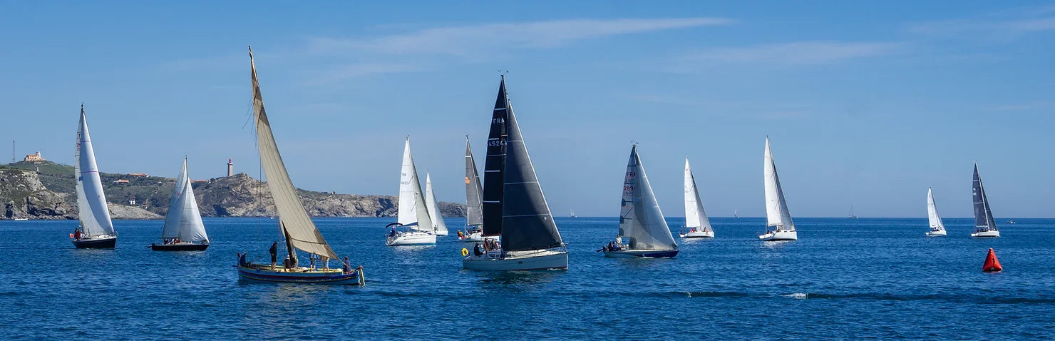 Terres des Templiers, sponsors de la course nautique Rimage Racing 2024