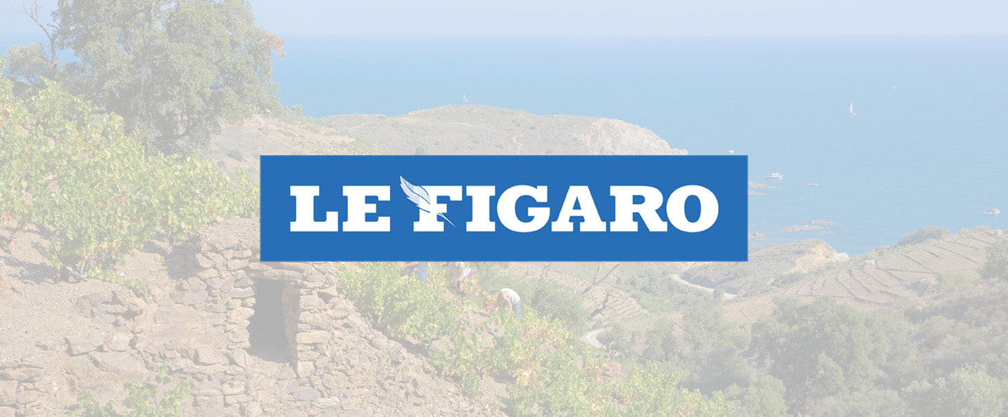Les vins de Terres des Templiers ou "l'autre trésor du Roussillon", d'après Le Figaro