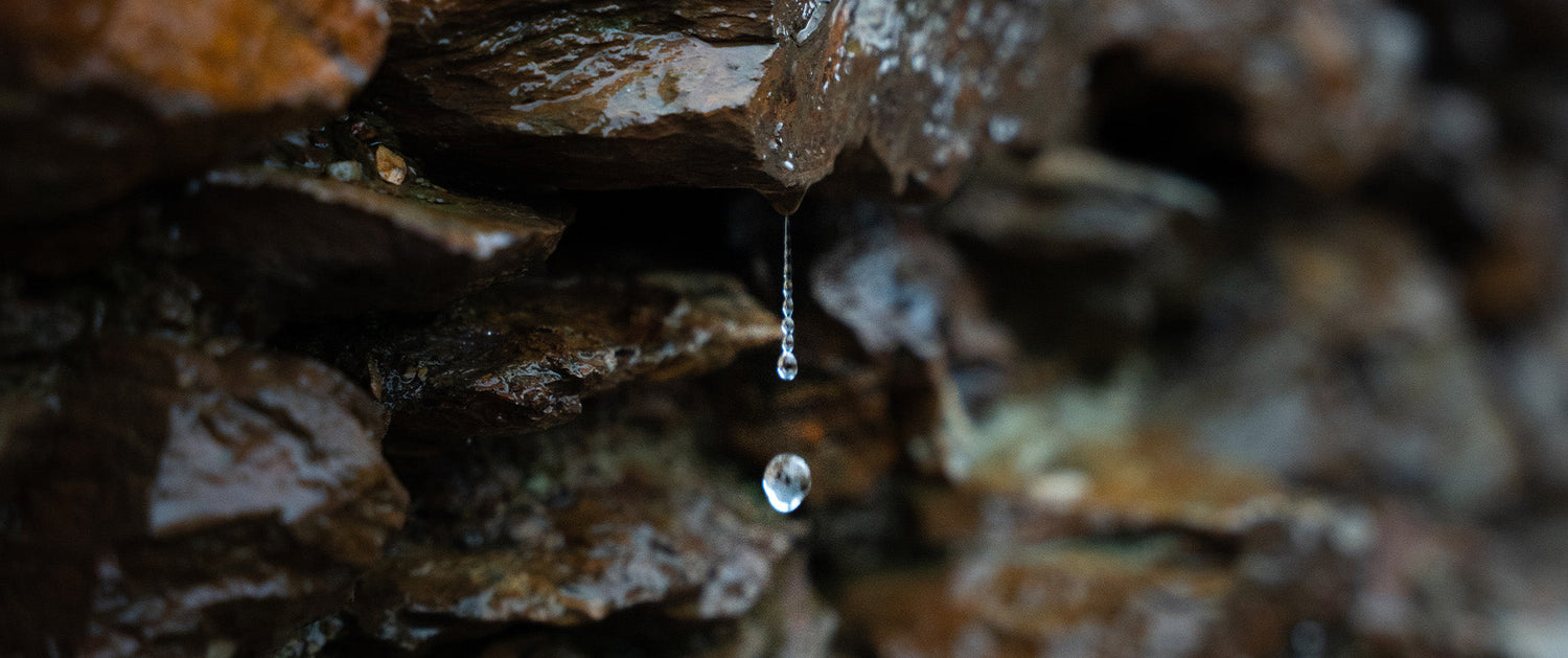 Pluie bienfaisante sur les Pyrénées-Orientales : un répit face à la sécheresse