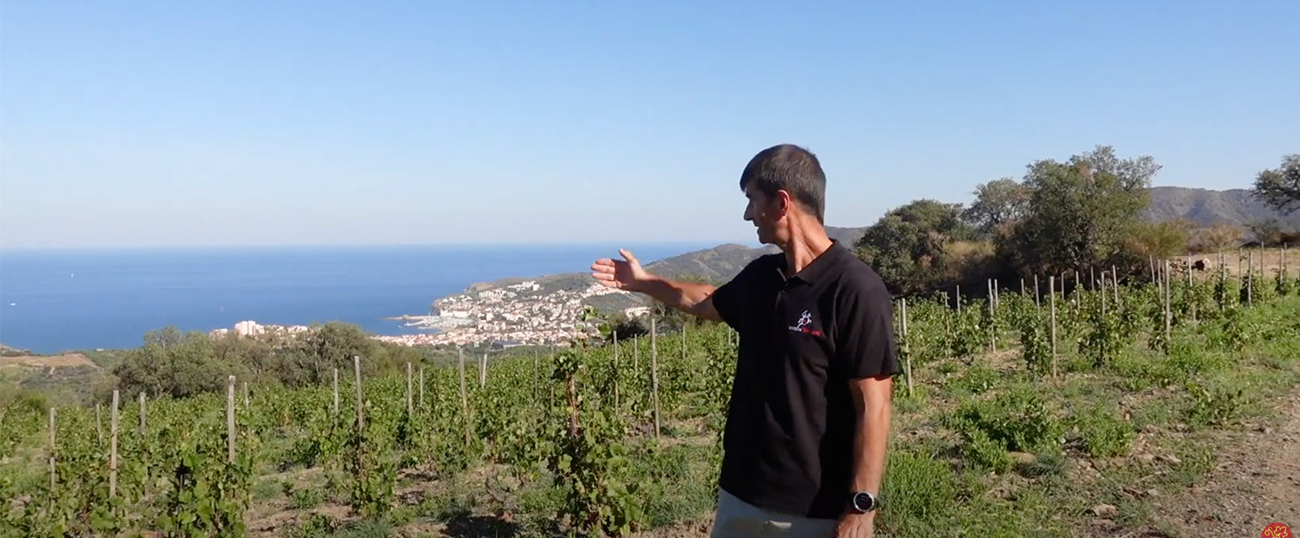 Vignobles d'Occitanie - Histoires de vins et de vignerons