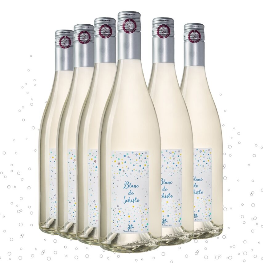 Vin pétillant gazéifié Blanc de Schiste x6