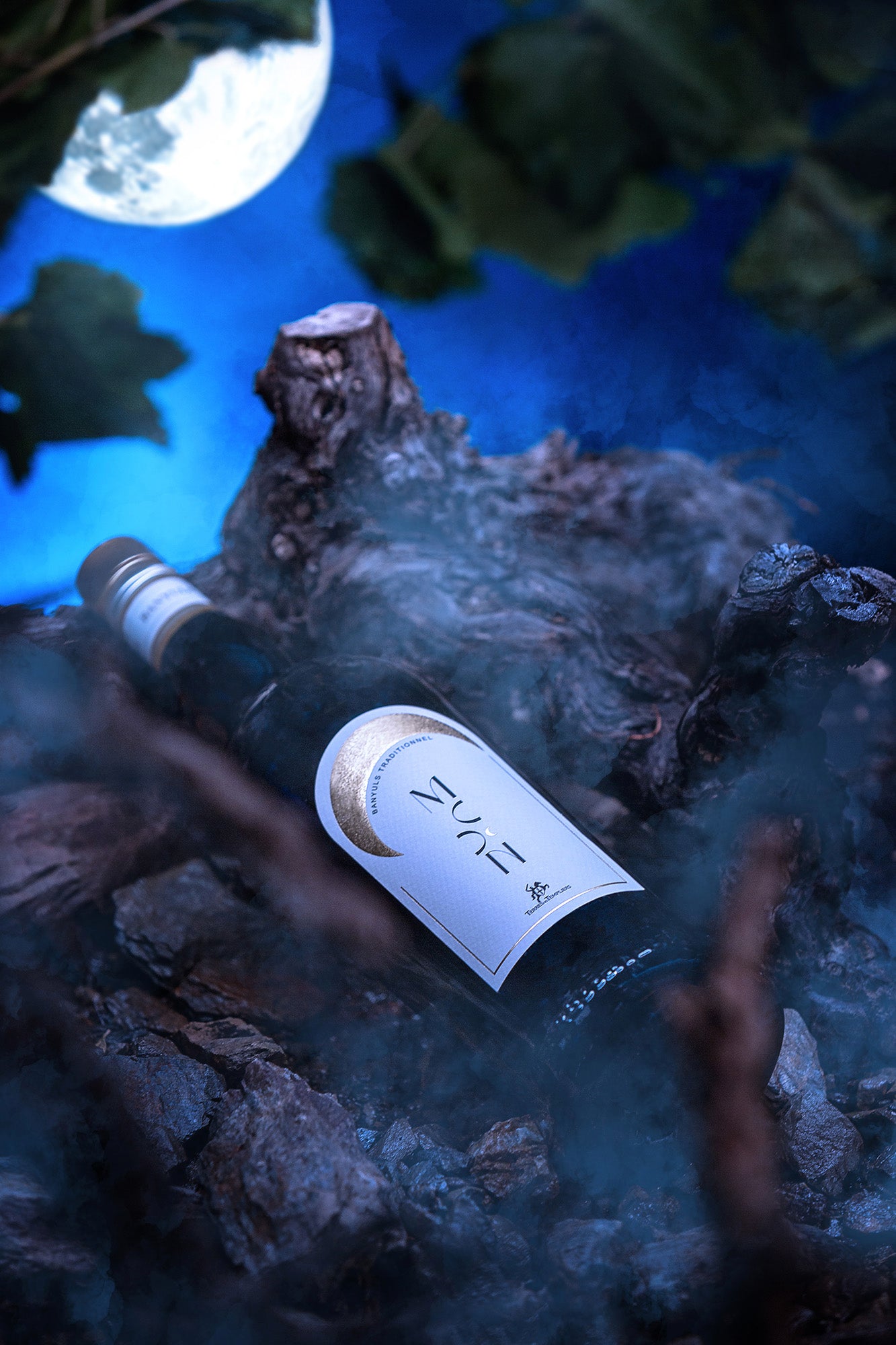 AOP Banyuls Traditioneller Mond x6 Flaschen