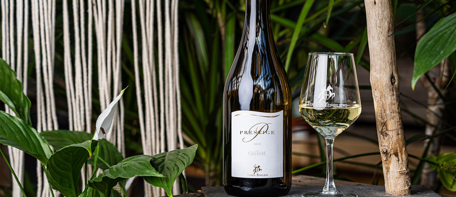 Vin blanc sec de Collioure