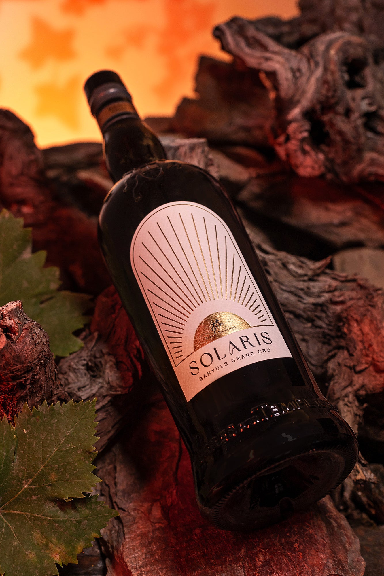 AOP Banyuls Grand Cru Solaris x 6 Flaschen