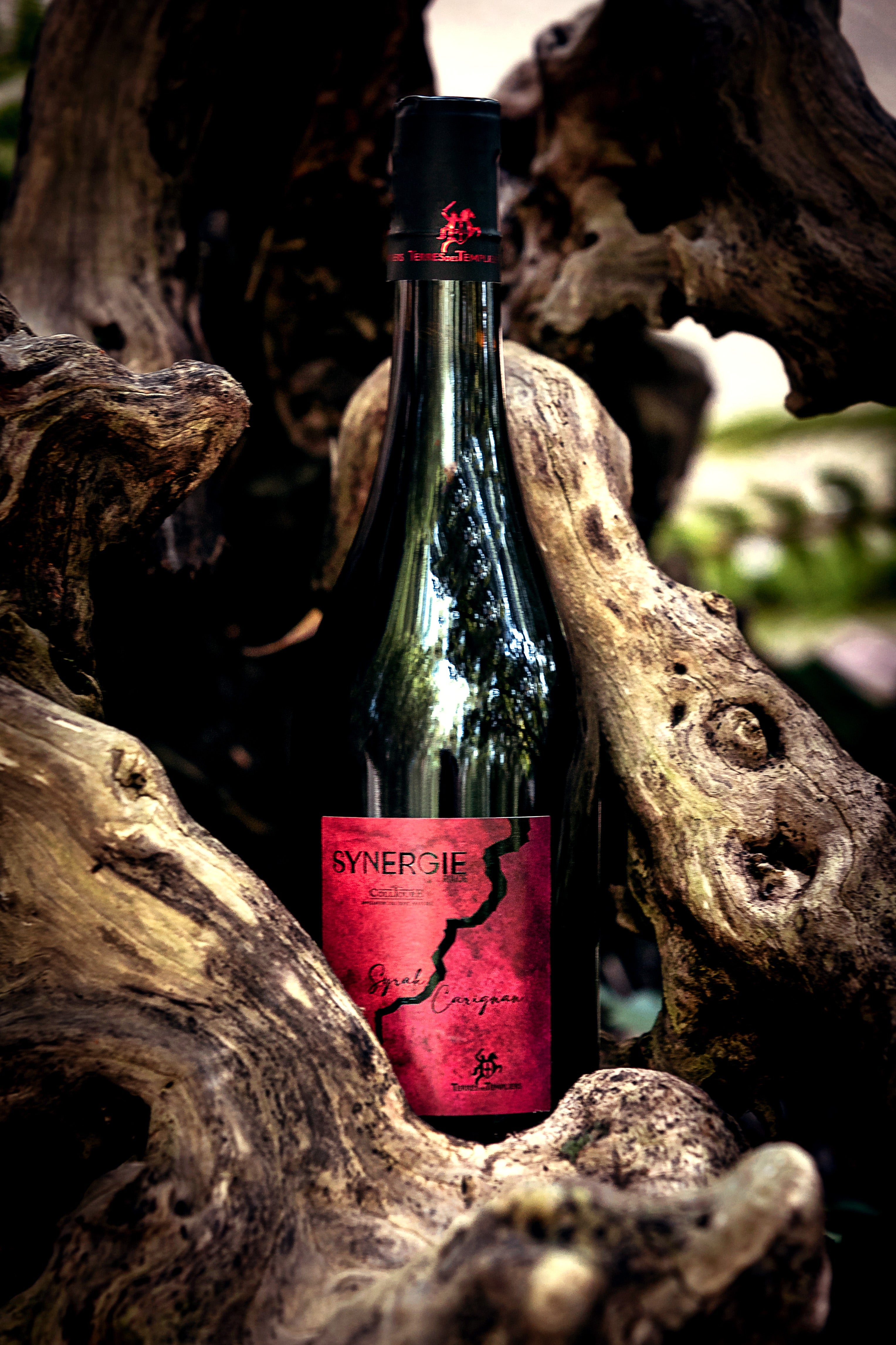AOP Collioure Rouge Synergie x6