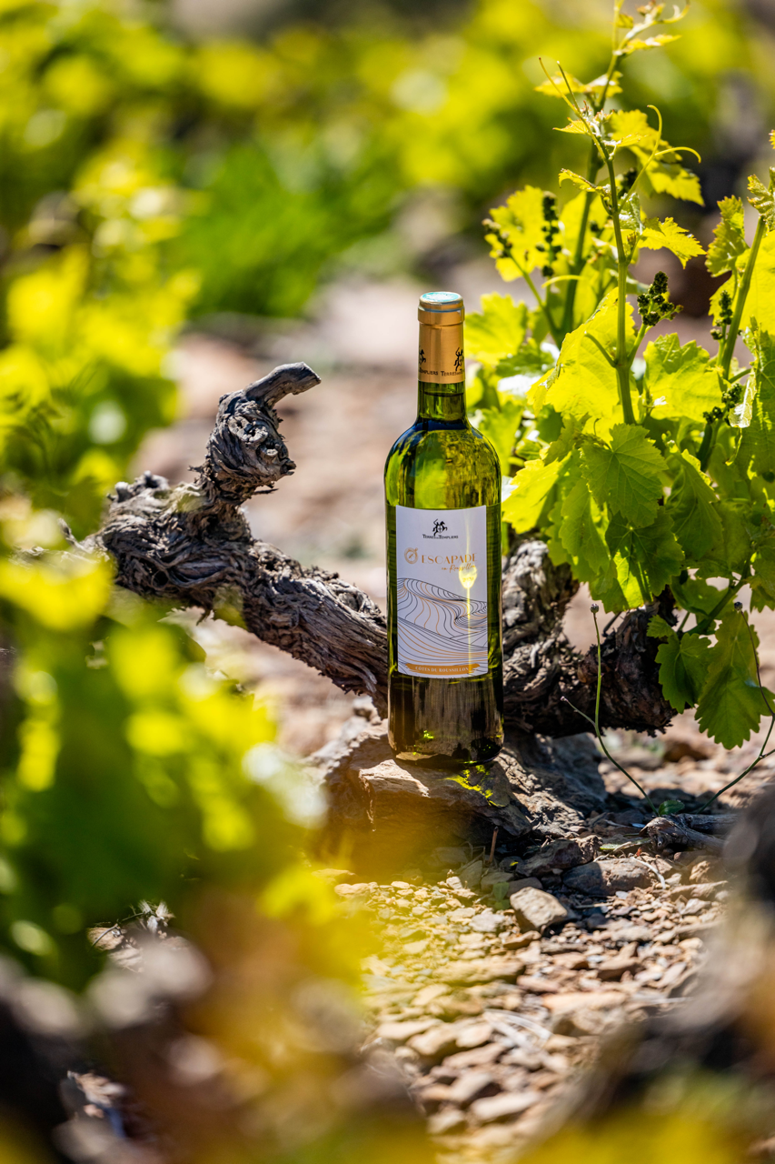 AOP Côtes du Roussillon Blanc Escapade en Roussillon x6