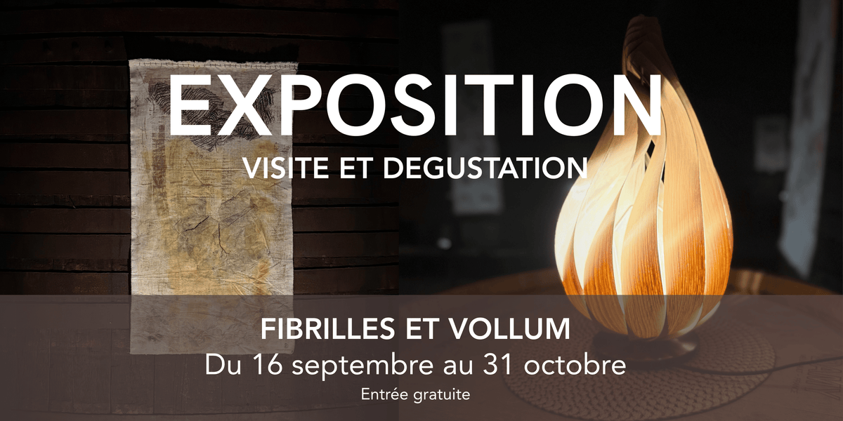 Quand l’art investit La Grande Cave : Fibrilles & Vollum