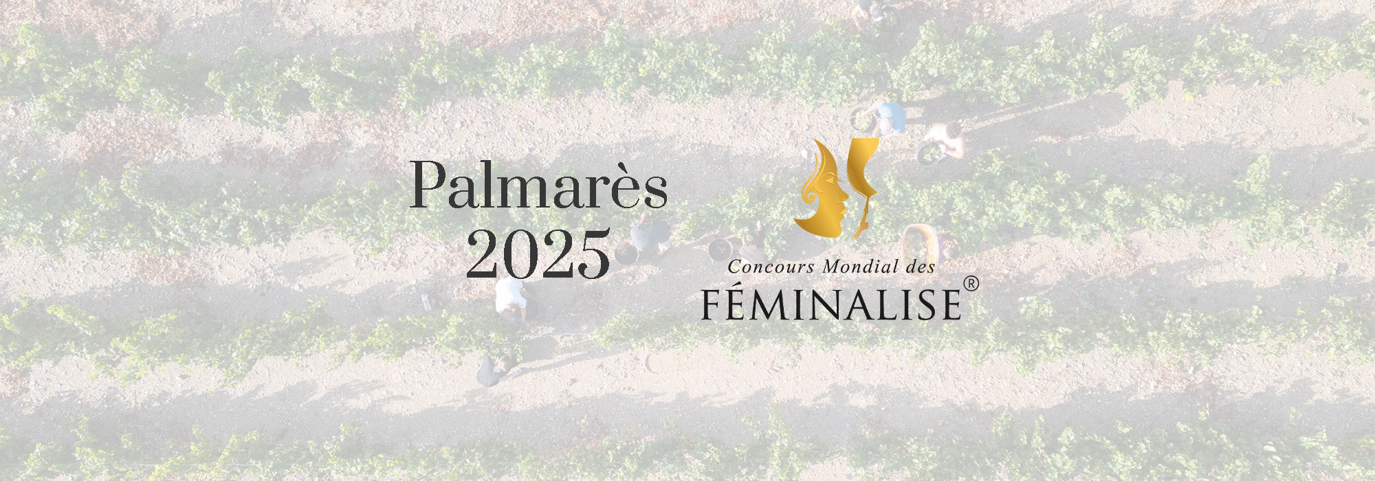 Le Concours Mondial Féminalise 2025 récompense nos cuvées !