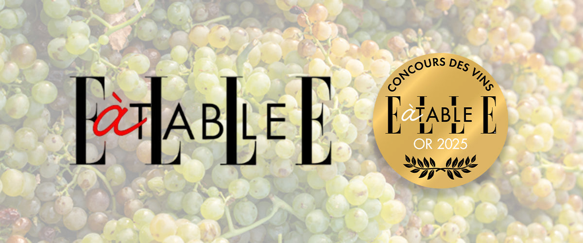 Concours des vins ELLE à Table 2025 : un palmarès prestigieux pour Terres des Templiers