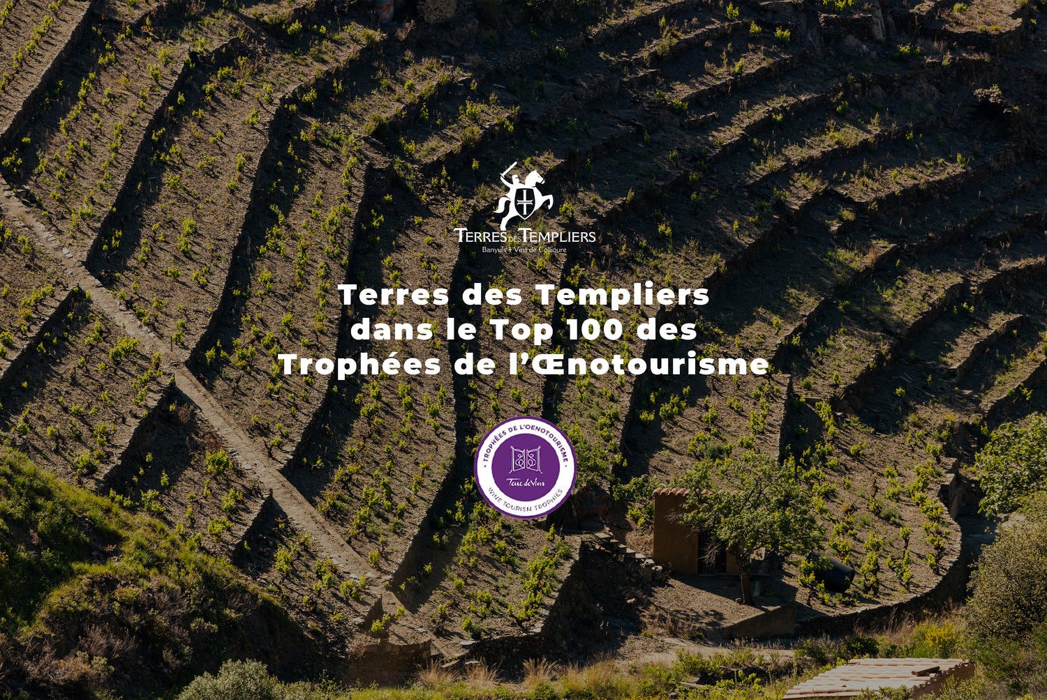 Terres des Templiers lauréats du Top 100 du Trophée de l'Œnotourisme !