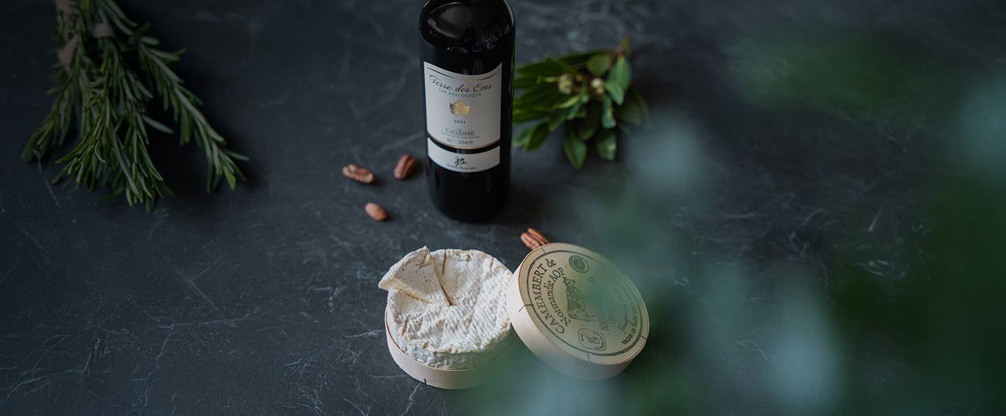 L'alliance parfaite : vins & fromages 🧀🍷