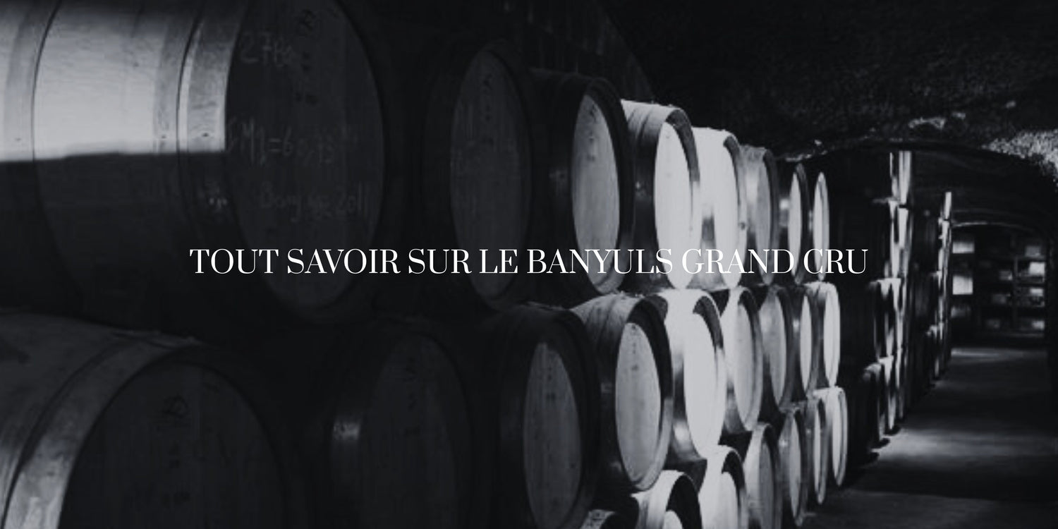 Banyuls Grand Cru : tout savoir sur ce vin d’exception