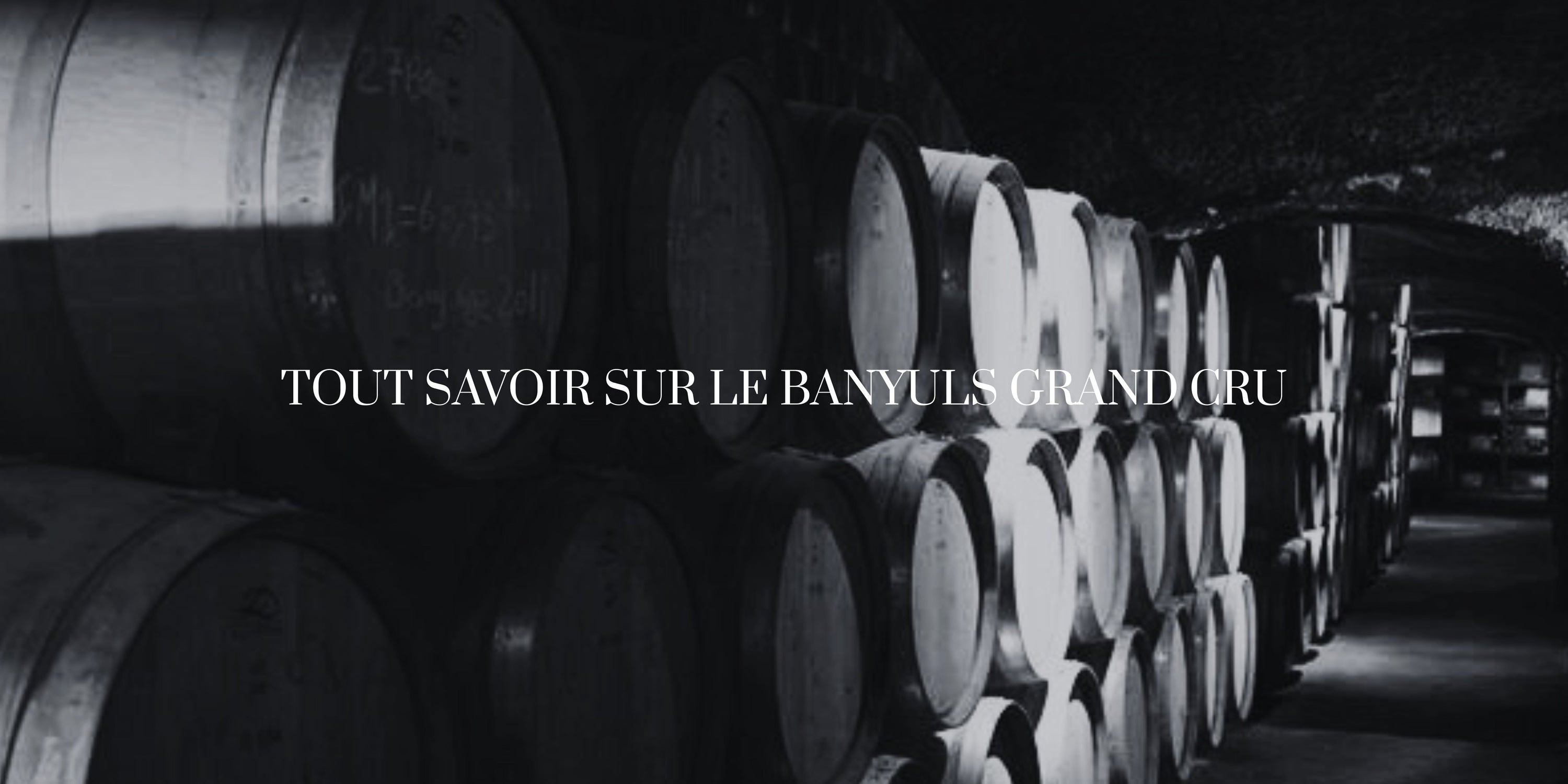Banyuls Grand Cru : tout savoir sur ce vin d’exception
