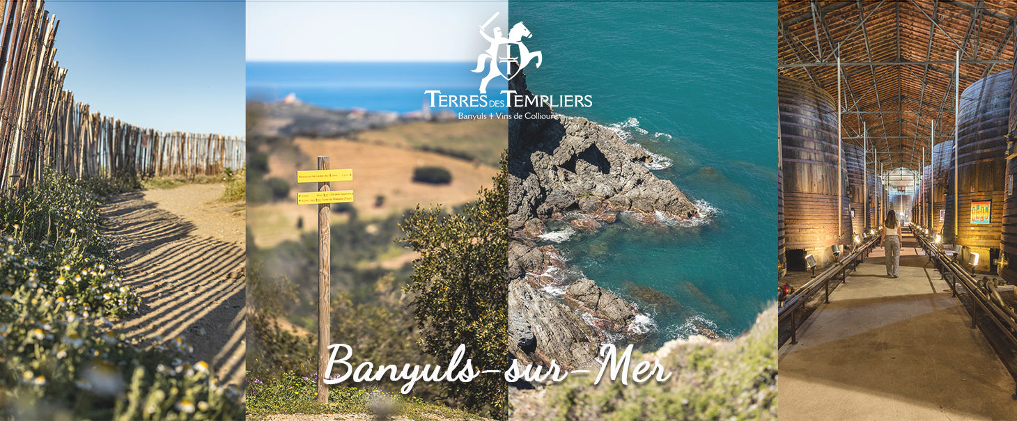 Que faire cet été à Banyuls-sur-Mer ?