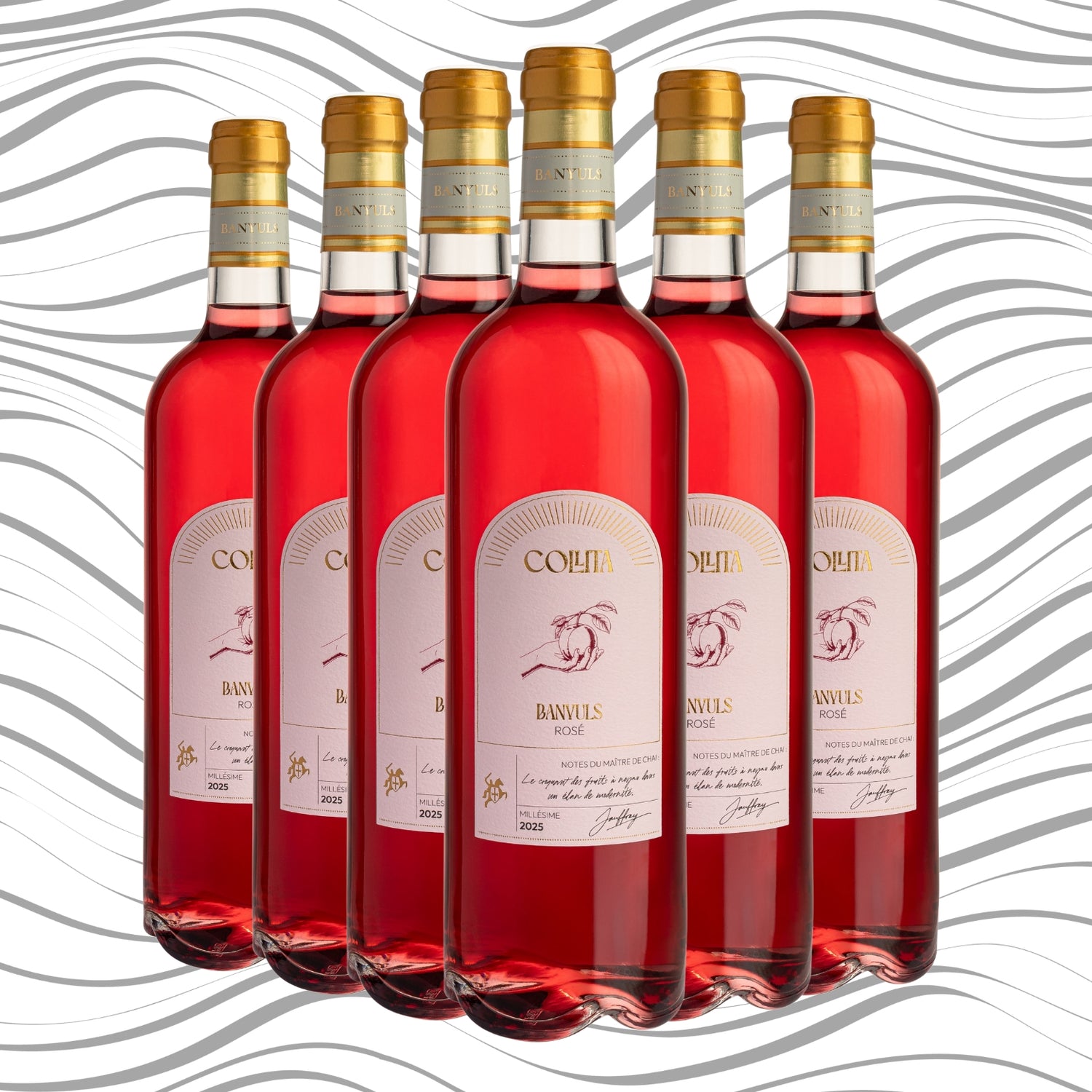 AOP Banyuls Blanc Fontaulé x6 