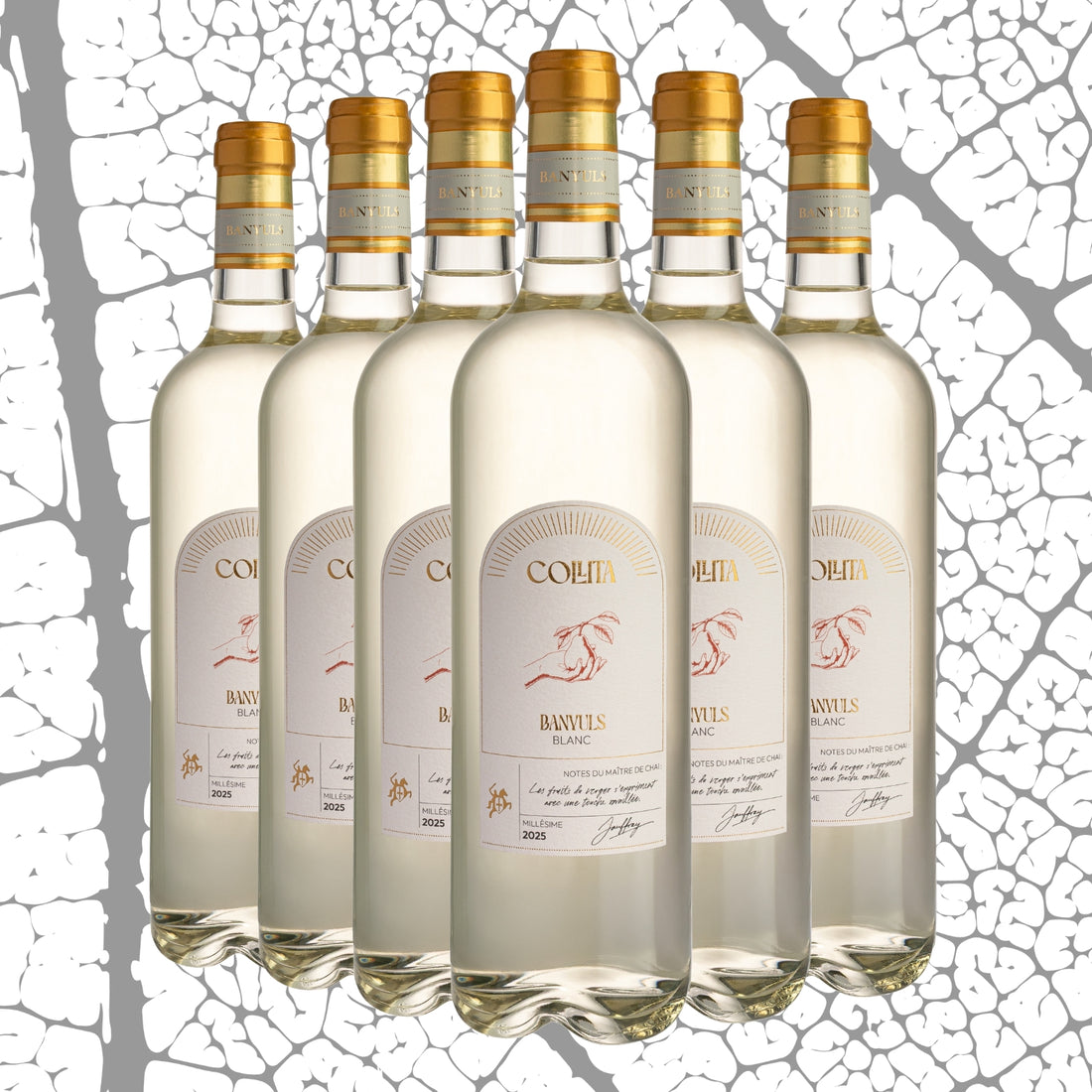 AOP Banyuls Blanc Fontaulé x6 