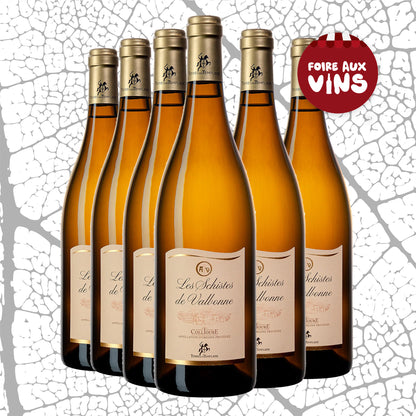 AOP Collioure Blanc Les Schistes de Valbonne x6