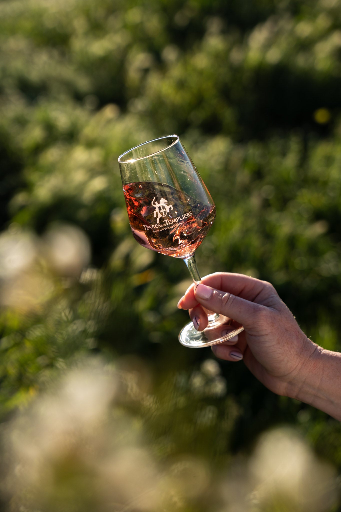 AOP Collioure Rosé Cuvée de la Salette x6 