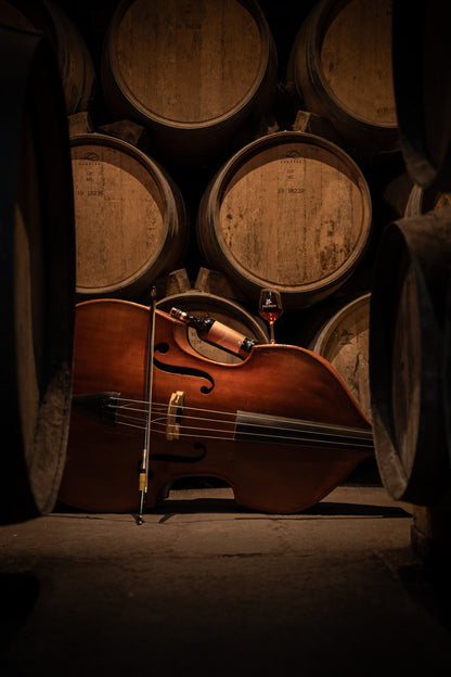 AOP Banyuls Grand Cru Soliste x6 bouteilles