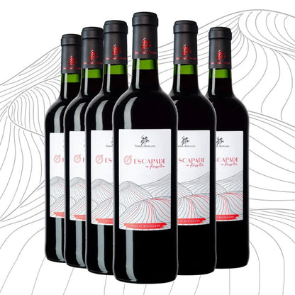 AOP Côtes du Roussillon Rote Eskapade im Roussillon x6